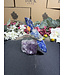 Gemstone Parrot #366, 510gr