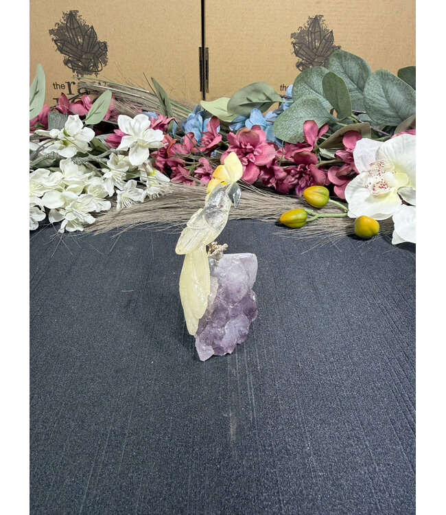 Gemstone Parrot #363, 104gr