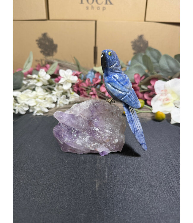 Gemstone Parrot #364, 424gr