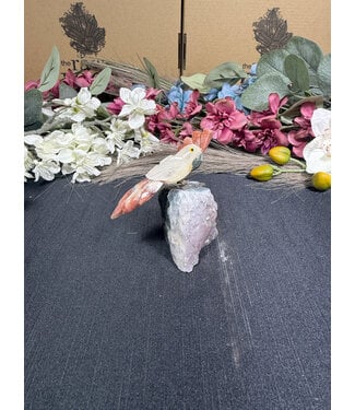 Gemstone Parrot #362, 124gr