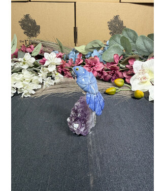 Gemstone Parrot #361, 118gr