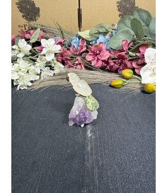 Gemstone Parrot #360, 74gr