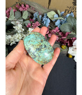 African Turquoise Palm, Size Large [125-149gr]
