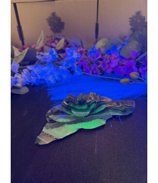 Fluorescent Agate Flower #1, 306.03gr