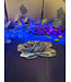 Fluorescent Agate Flower #2, 333.89gr