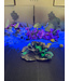 Fluorescent Agate Flower #4, 337.24gr