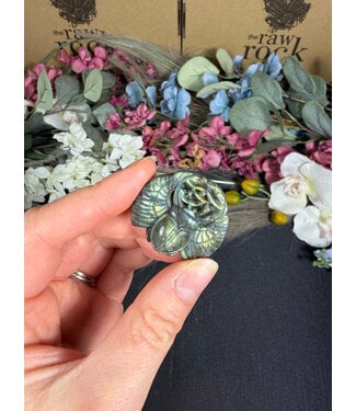 Labradorite Scarab Beetle #1, 19.17gr