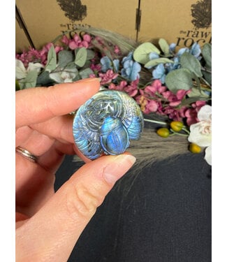 Labradorite Scarab Beetle #6, 21gr