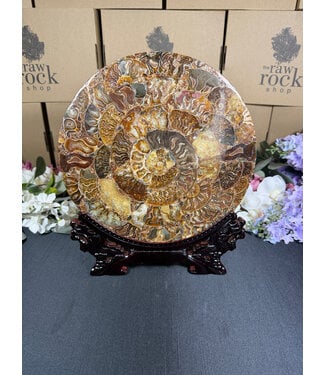Ammonite Plate with Stand #20, 896gr