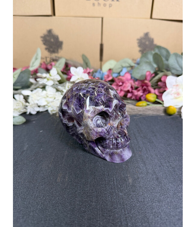 Chevron Amethyst Skull #9, 912gr