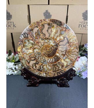 Ammonite Plate with Stand #19, 930gr