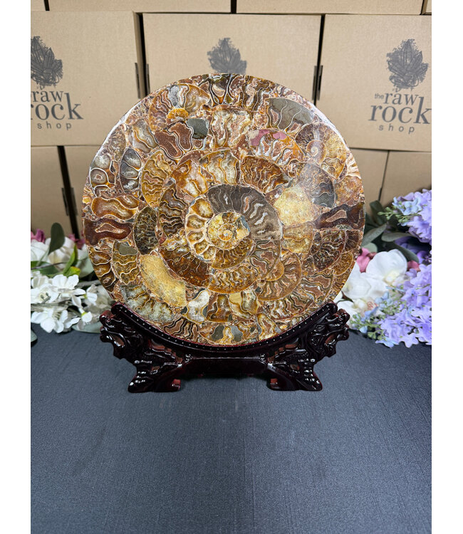 Ammonite Plate with Stand #20, 896gr
