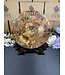 Ammonite Plate with Stand #20, 896gr