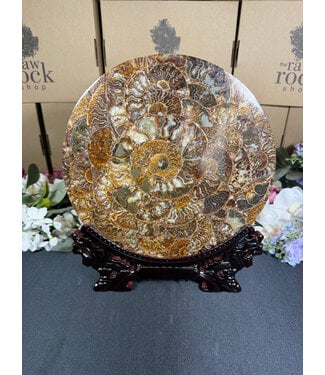 Ammonite Plate with Stand #17, 776gr