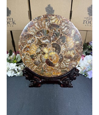 Ammonite Plate with Stand #18, 866gr