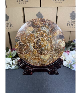 Ammonite Plate with Stand #15, 676gr