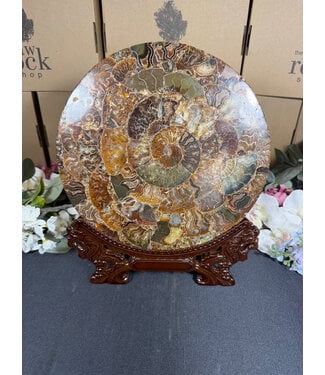 Ammonite Plate with Stand #16, 872gr