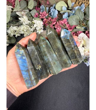Labradorite Point, Size Large [75-99gr]