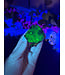 Fluorescent Agate Freeform #6, 59.57gr