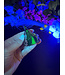 Fluorescent Agate Freeform #98, 69.07gr