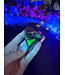 Fluorescent Agate Freeform #96, 90.49gr