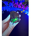 Fluorescent Agate Freeform #94, 104.65gr
