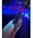 Fluorescent Agate Freeform #93, 78.26gr