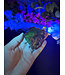 Fluorescent Agate Freeform #92, 105.11gr