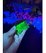 Fluorescent Agate Freeform #80, 98.16gr