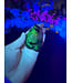 Fluorescent Agate Freeform #67, 97.72gr
