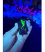 Fluorescent Agate Freeform #66, 92.52gr
