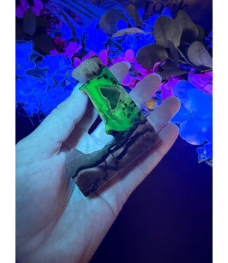 Fluorescent Agate Freeform #61, 116.81gr