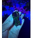 Fluorescent Agate Freeform #60, 60.09gr