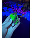 Fluorescent Agate Freeform #58, 76.24gr