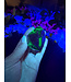 Fluorescent Agate Freeform #52, 70.95gr