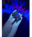 Fluorescent Agate Freeform #51, 100.07gr