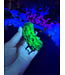 Fluorescent Agate Freeform #49, 138.74gr