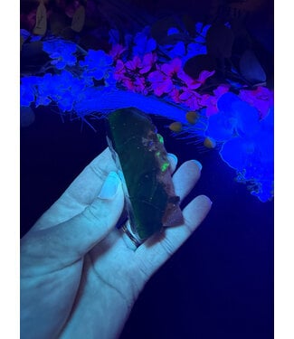 Fluorescent Agate Freeform #41, 83.58gr