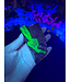 Fluorescent Agate Freeform #38, 136.23gr