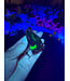 Fluorescent Agate Freeform #37, 56.81gr