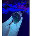 Fluorescent Agate Freeform #35, 62.16gr