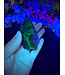 Fluorescent Agate Freeform #33, 88.52gr