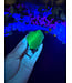 Fluorescent Agate Freeform #31, 88.8gr