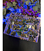 Fluorescent Agate Freeform Bulk Lot #9, 1000gr