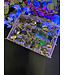 Fluorescent Agate Freeform Bulk Lot #8, 1004gr
