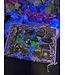 Fluorescent Agate Freeform Bulk Lot #3, 1002gr
