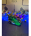 Fluorescent Agate Dragon Head #7 642gr