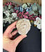 Desert Rose Raw Specimen #217, 221.32gr
