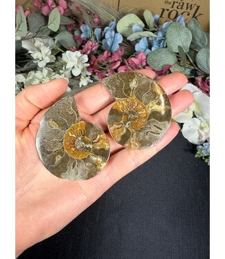 Ammonite Pair #52, 56.26gr