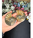 Ammonite Pair #57, 104.17gr